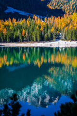 Fototapeta premium Autumn and golden reflections on Lake Braies. Park of the Dolomites.