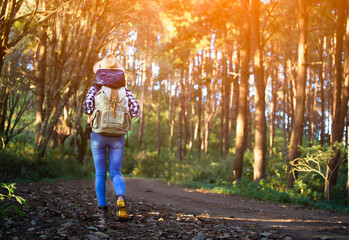 Back of female tourist walking through the forest, with a backpack on her back, on a sunny day, Young woman with hiking bag on a trekking trail in tropical rain forest. Holiday and vacation.