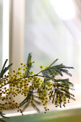 Vase with mimosa flowers on the table. Selective focus.