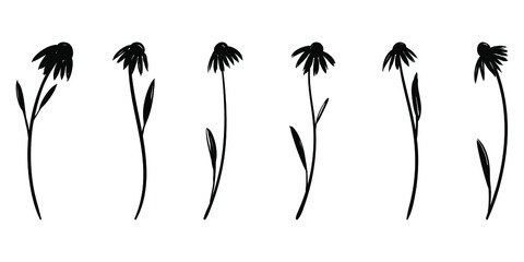 Set of silhouettes of flowers. Vector silhouettes of daisies 