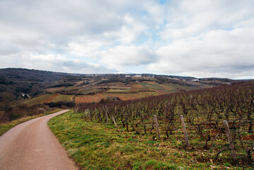 Un chemin dans les vignes de Saint-Romain. Une route passant dans le vignoble de Bourgogne. Un paysage de campagne.