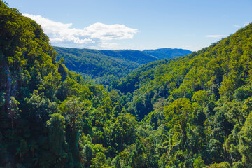 Fototapeta na wymiar Nationalpark Blick über den Wald Richtung Horizont