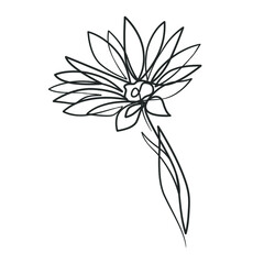Continuous line drawing of simple flower illustration