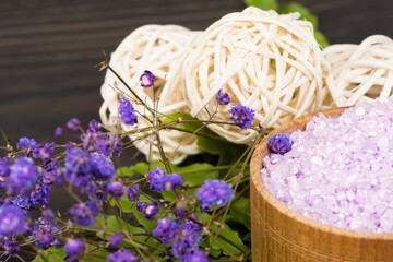 bath salt and herbs for spa treatments, close-up view