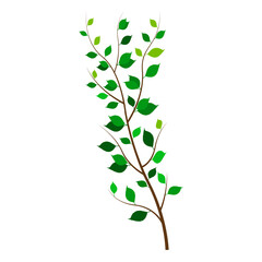 Tree branch with green leaves cartoon isolated white background