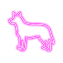 Pink neon icon of dog isolated on white