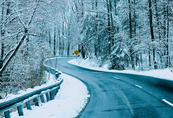 Winter Snow Storm on a Curvy Road with Snow Covered Trees