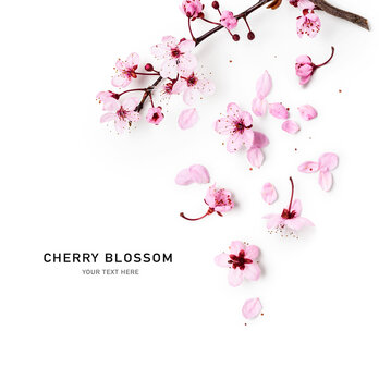Cherry tree blossom.