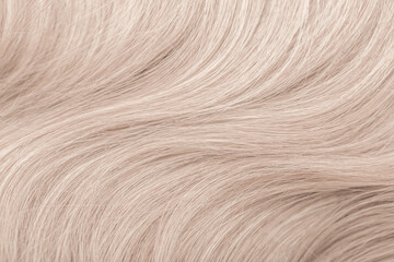 Background hair closeup. Female long blond hair close-up as a background. Beautifully laid wavy shiny curls. Hair coloring. Hairdressing procedures. Copy space with space for text.