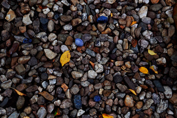 colourful pebbles