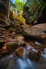 Fall colors around the river running through Parfrey's Glen, WI. 