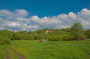 Green meadow with flowers and hill
