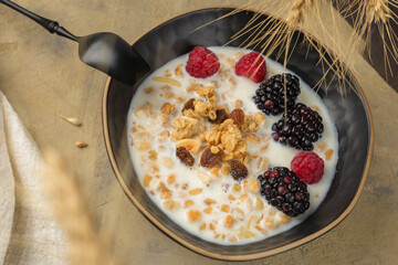 The concept of natural products, vegetarianism and diets. Close-up of a bowl of homemade granola with fresh berries and vegetable milk on a light background. Healthy breakfast.