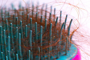 comb with hair, hair loss