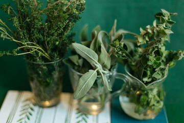 Fresh Medicine herbs Oregano, Sage, Thyme in glass bottle. Spring background.