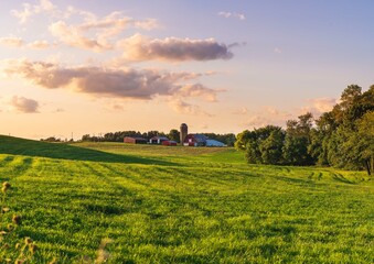 Rural Farm Landscape in the Golden Sunset in the Evening