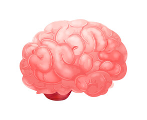 Realistic Human Brain Composition