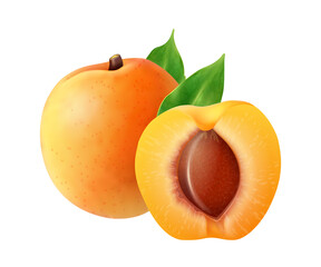 Realistic Apricot Fruit Composition