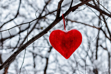 Red heart on a branch in winter forest