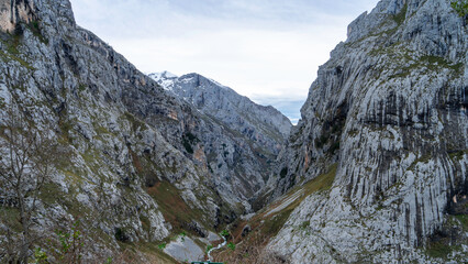 Animals and mountain landscape