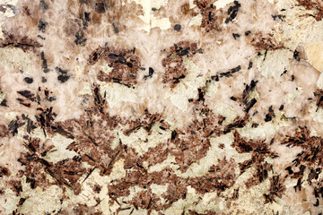 Beige, brown marble with black blotches, beautiful color and texture of polished crystals.