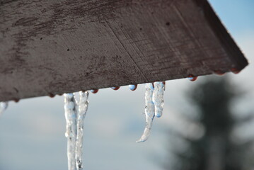 Icicles