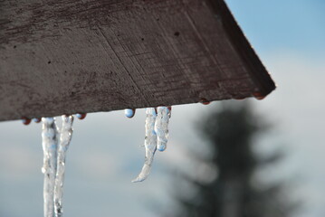 Icicles