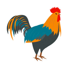 Poultry Farm Rooster Composition