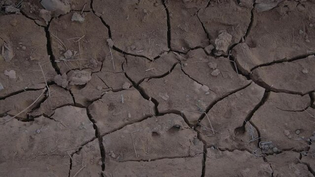 suelo sequ&iacute;a agrietado