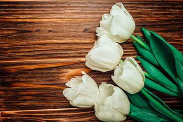 Tulips on wooden background. In spring.