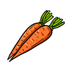 Vector illustration, carrot isolated on a white background.