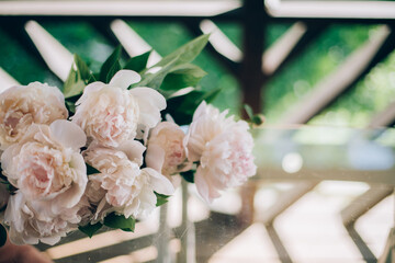 Still life of a fresh bouquet of cut pink peonies