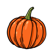 Vector illustration, pumpkin isolated on a white background.