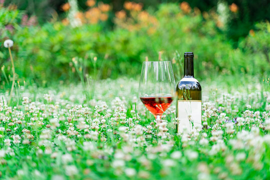 Classic opened bottle of wine standing near big wine glass filled with some pink, red, portwein or madeira wine on grass field or meadow with white wildflowers on summer day outside. Alcohol drink