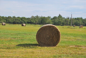 Hay bale and field © M. Grąbczewski