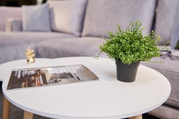 Soft focus on a white journal table with a decor of green potted plant and a catalogue, displayed on a furniture store showroom and a light upholstered settee on the background