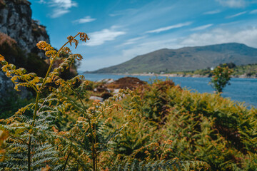 Scottish Highlands