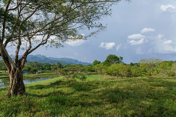 Eastern plains in Colombia