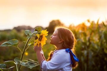 Beautiful girl in an embroidered shirt with yellow and blue ribbons in hair sniffs a sunflower at sunset. Ukraine Independence, Constitution, Unity, Vyshyvanka Day. Postcard, poster, calendar