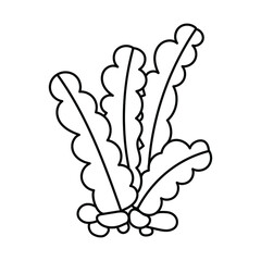 Fototapeta premium Vector isolated simple contour coral template. Colorless black line coral branch outline doodle sketch.