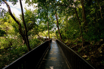 Bridge made of wood that leads to nature.