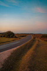 New Forest Sunset