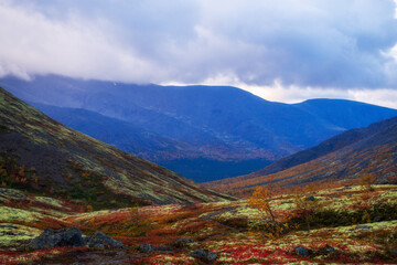 Autumn colorful tundra on the background mountain peaks. Mountain landscape in Kola Peninsula, Arctic, Khibiny Mountains.