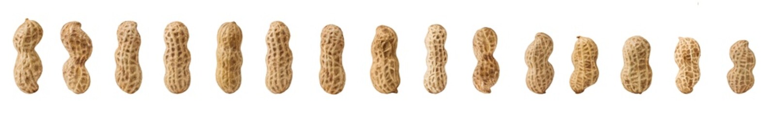 set of peanuts in a nutshell, unpeeled and shelled peanuts isolated on white background.