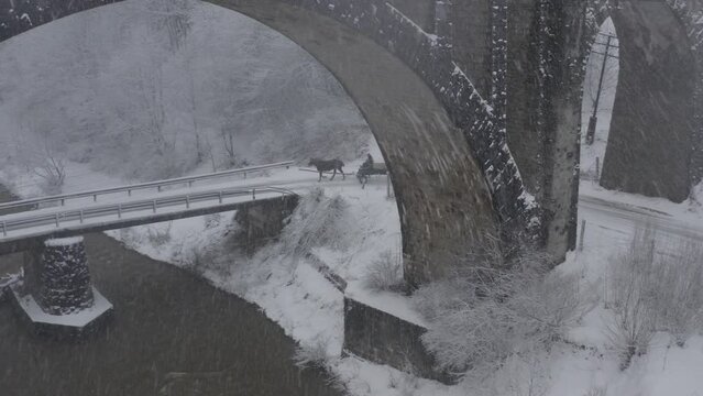 Aerial of a train crossing a beautiful stone bridge in winter.  This historic viaduct in Vorokhta village in the Carpathian Mountains, Ukraine. 