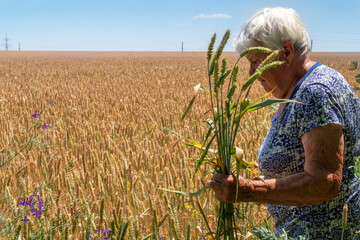 An old woman holding a sheaf of wheat. A farmer looks at a field of wheat
