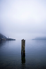 Wooden Posts in the Cold Water