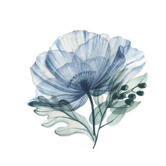 Watercolor  floral illustration, dusty blue flowers and leaves with transparent petals. Hand drawn watercolor illustration on a white background 