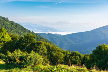 morning landscape in mountains. beautiful nature scenery in summer. view in to the distant valley in fog