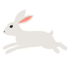 Fototapeta na wymiar Hare on white background. Bunny for Easter card. Vector illustration